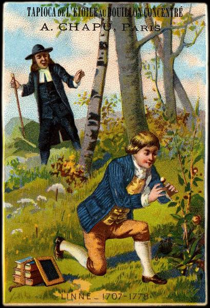 LINNE : 1707-1778 (titre inscrit)_0