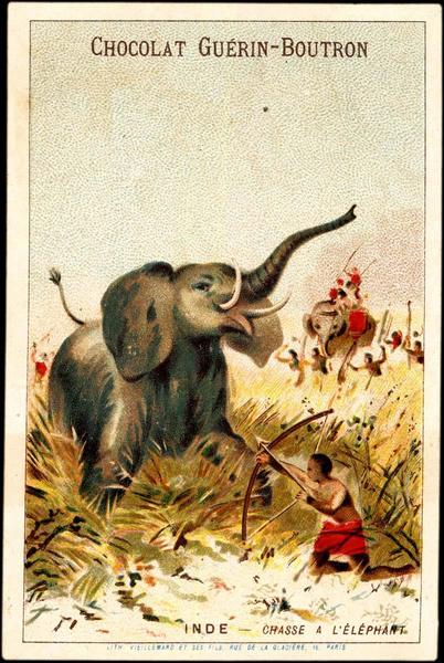 INDE - CHASSE A L'ELEPHANT (titre inscrit)_0