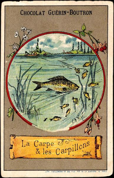 La Carpe / & les Carpillons (titre inscrit)_0