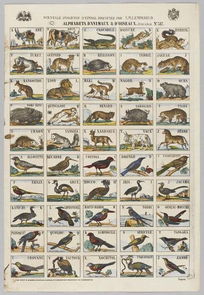ALPHABETS D'ANIMAUX ET D'OISEAUX (titre inscrit)_0