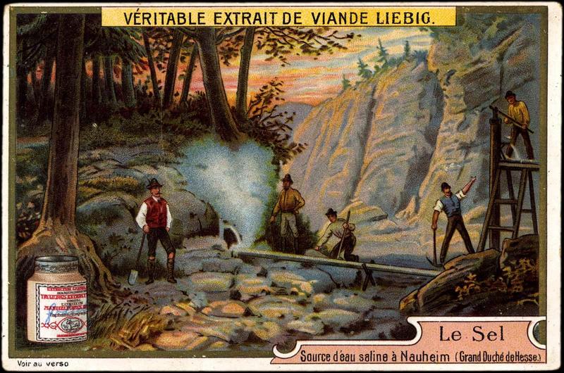 Le Sel (titre inscrit)_0