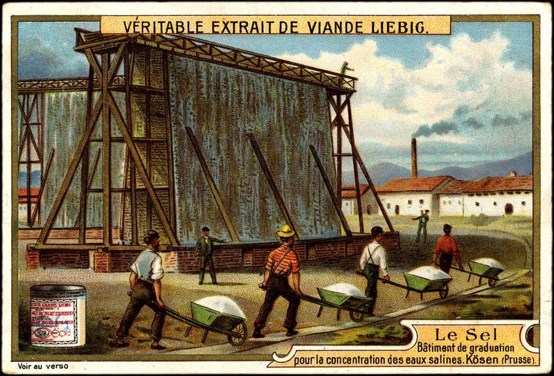 Le Sel (titre inscrit)_0