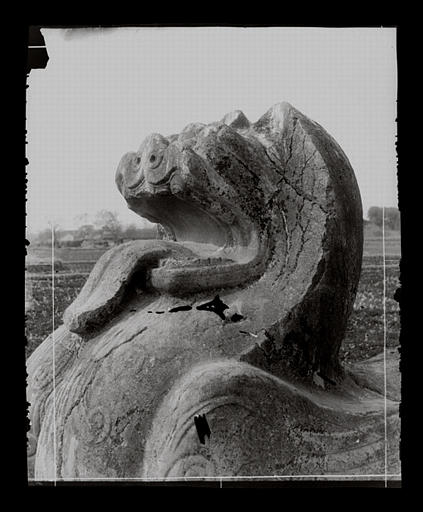 [Jiangsu]. Région de Nankin [Nanjing], Yao-houa men [Yaohuamen], [Ganjiaxian], allée funéraire de Siao King [Xiao Jing] (mort en 528 ap. J.-C.), lion ailé, tête_0