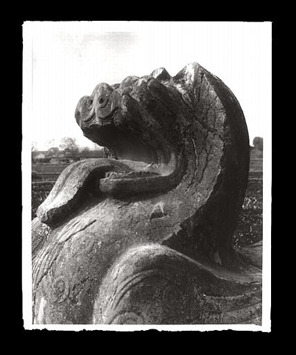 [Jiangsu]. Région de Nankin [Nanjing], Yao-houa men [Yaohuamen], [Ganjiaxian], allée funéraire de Siao King [Xiao Jing] (mort en 528 ap. J.-C.), lion ailé, tête_0