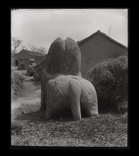 [Jiangsu]. Région de Nankin [Nanjing], Yao-houa men [Yaohuamen], [Ganjiaxian], allée funéraire de Siao Sieou [Xiao Xiu] (mort en 518 ap. J.-C.), lion ailé de gauche, arrière_0