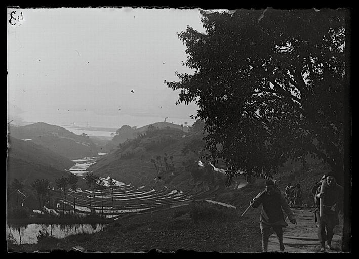 Chongqing. Laojundong, rizières_0