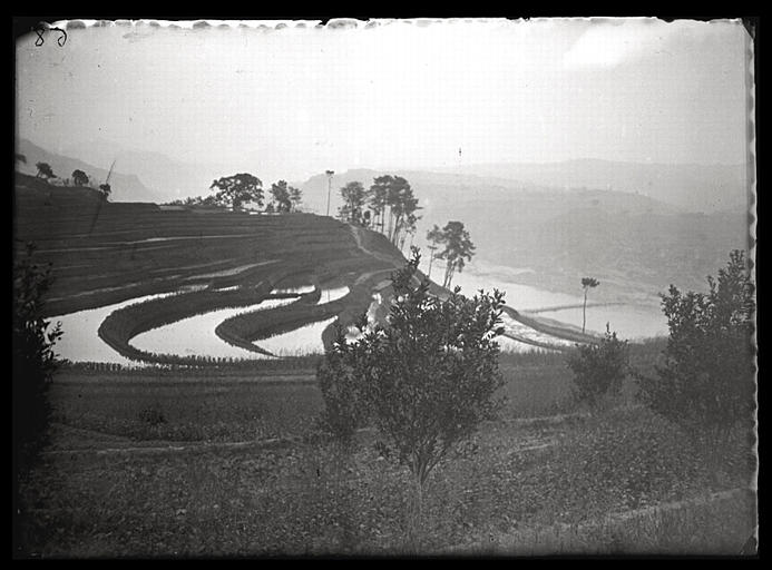 Chongqing. Sur la rive droite du Yangzi, en amont de Wanxian, rizières_0