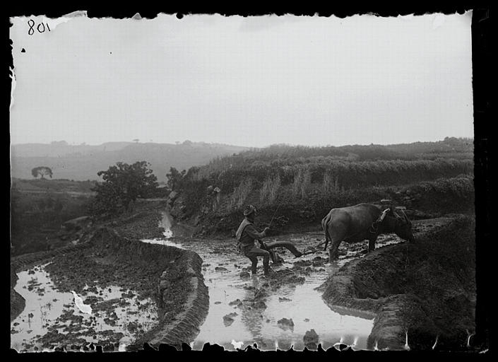 Chongqing. Nantuo, labourage_0