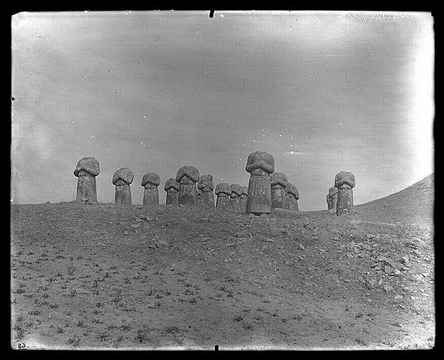 [Shaanxi] Chàn-si. K'ien tcheou [Qianzhou], sépulture de T'ang Kao-tsong [Tang Gaozong] (mort en 683 ap. J. -C.), cortège des princes tributaires_0