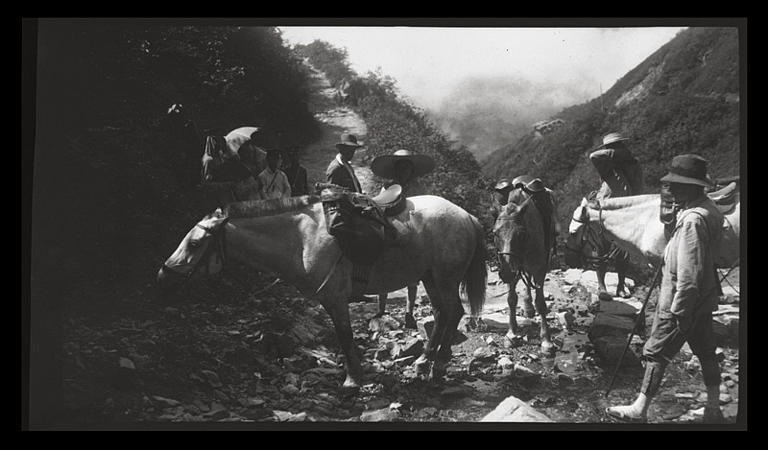 [Sichuan]. [Route de Yazhou à Qingxixian], montée du Ta-siang ling [Daxiangling], les chevaux_0