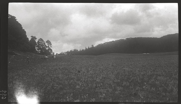 [Yunnan]. De T'ai-fang [Taifang] à Ying-p'an [Yingpan], la prairie d'edelweiss_0