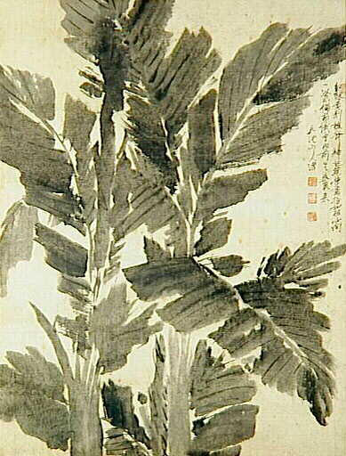 Feuilles de bananier_0