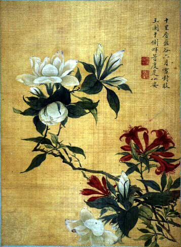 Fleurs et insectes_0