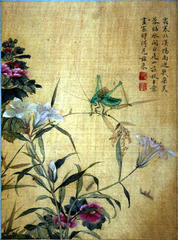 Fleurs et insectes_3