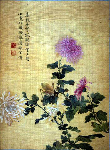 Fleurs et insectes_4