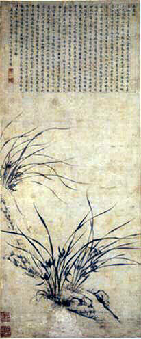 Orchidées_0