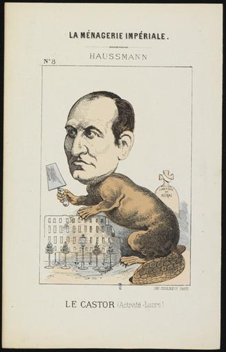 Haussmann, le castor_0