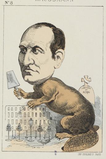 Haussmann, le castor_1