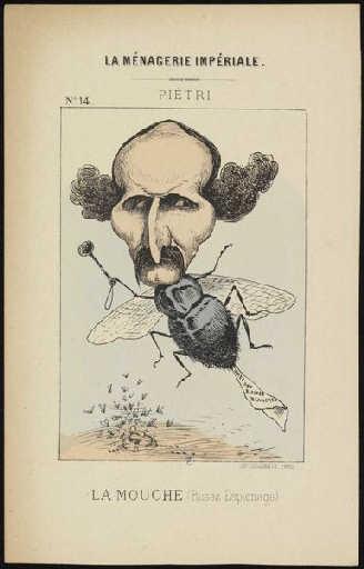 Joachim Piétri, la mouche_0