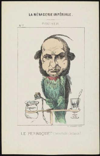 Rouher, le perroquet_0