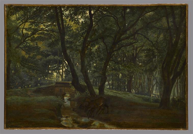 Sous-bois_0