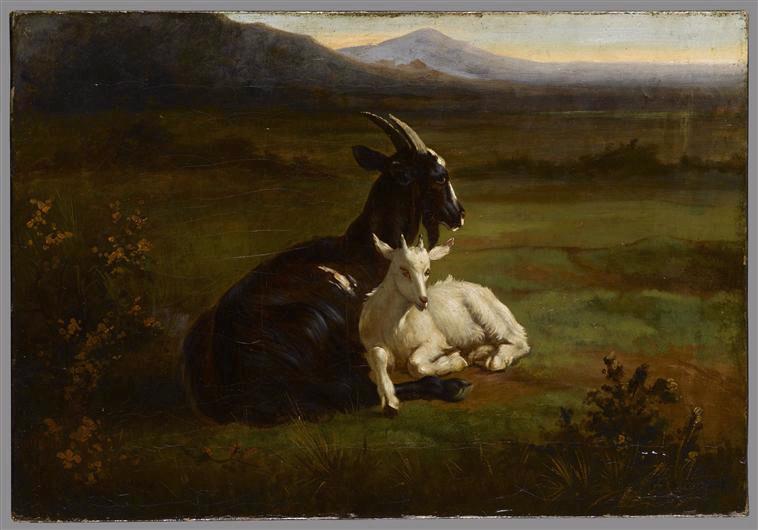 Les Chèvres, Jacques Raymond Brascassat, 19e siècle