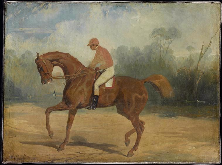 Cheval de course et son jockey_0