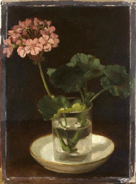 Géranium rose dans un verre_0