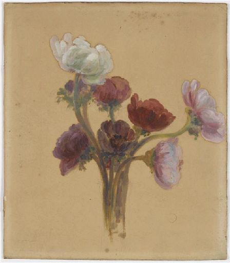 Anémones en bouquet_0