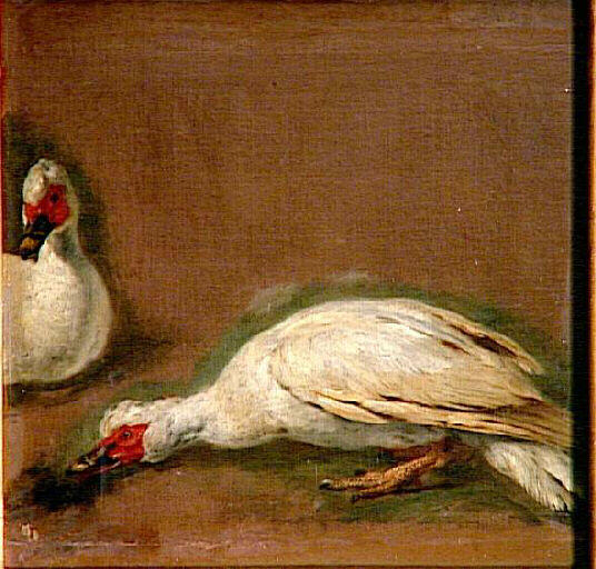 Canards blancs, Pieter Boel, 17e siècle