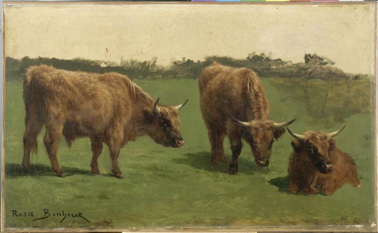Trois études d'un boeuf roux dans un pré, Rosa Bonheur, 2e quart 19e siècle, 2e moitié 19e siècle