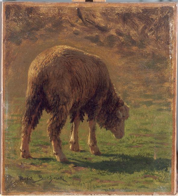 Mouton paissant, Rosa Bonheur, 2e moitié 19e siècle