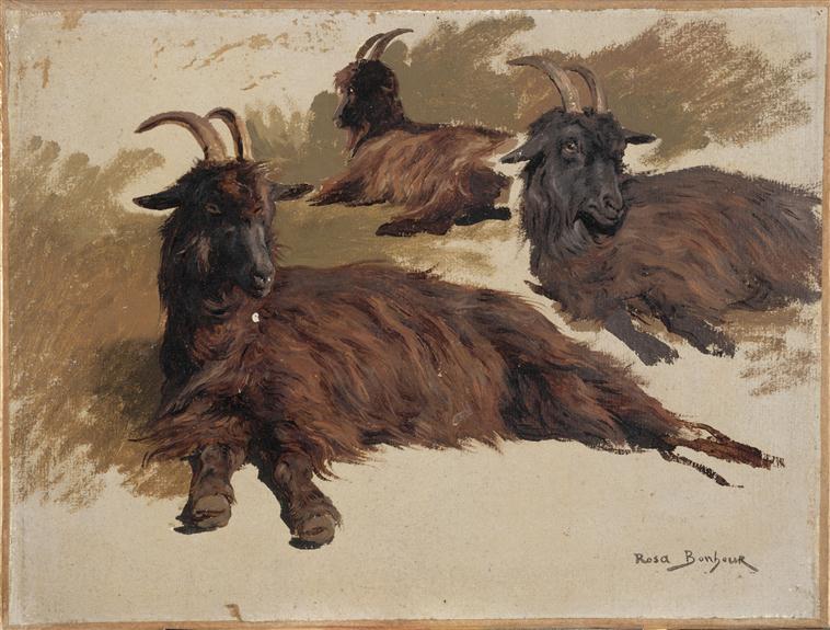 Chèvres couchées, Rosa Bonheur, 2e quart 19e siècle, 2e moitié 19e siècle