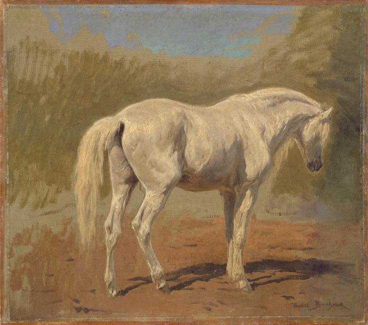 Étude de cheval blanc, Rosa Bonheur, 2e quart 19e siècle, 2e moitié 19e siècle