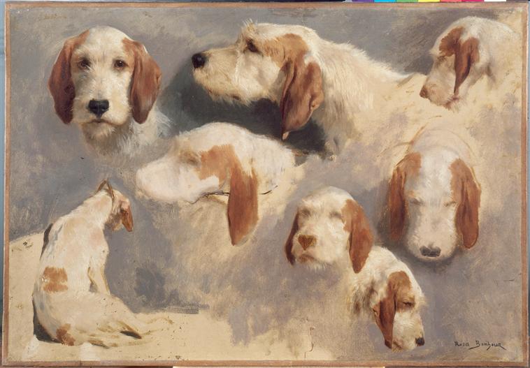 Têtes de chien, Rosa Bonheur, 2e quart 19e siècle, 2e moitié 19e siècle