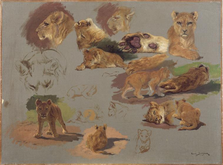 Etude de lionne et lionceau, Rosa Bonheur, 2e quart 19e siècle, 2e moitié 19e siècle
