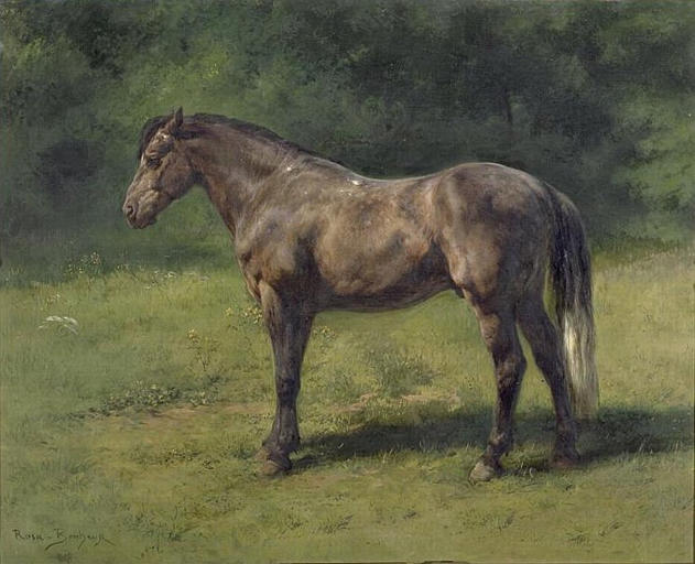 Étude de cheval gris au vert, Rosa Bonheur, 2e moitié 19e siècle