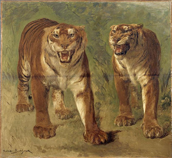 Tigre royal furieux, Rosa Bonheur, 2e quart 19e siècle, 2e moitié 19e siècle