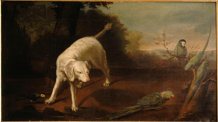 Chien épagneul blanc et perroquet_0