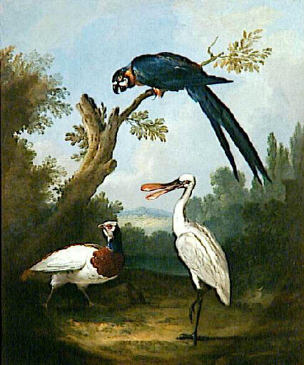Faisan blanc, perroquet et spatule ; Perroquet ara et deux autres oiseaux près d'un étang (faisan blanc, spatule) (ancien titre)_0