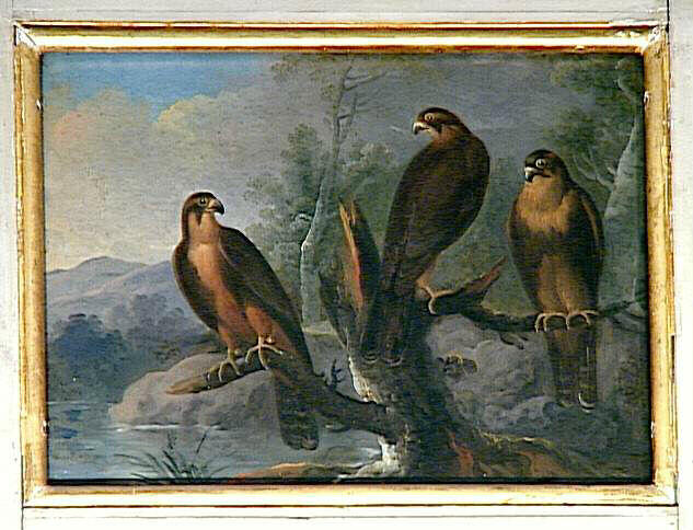 Trois petits faucons, Nicasius Bernaerts, 17e siècle