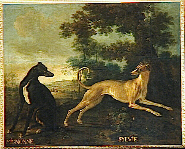 Mignonne et Sylvie, levrettes de la meute de Louis XV, Jean-Baptiste Oudry, 1728