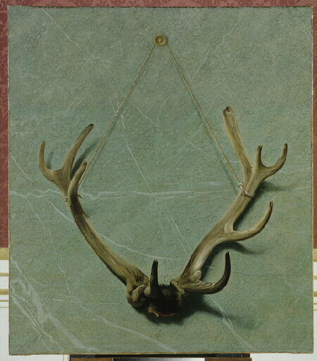 Bois d'un cerf pris à Compiègne en 1752 (sur un fond imitant le marbre)_0