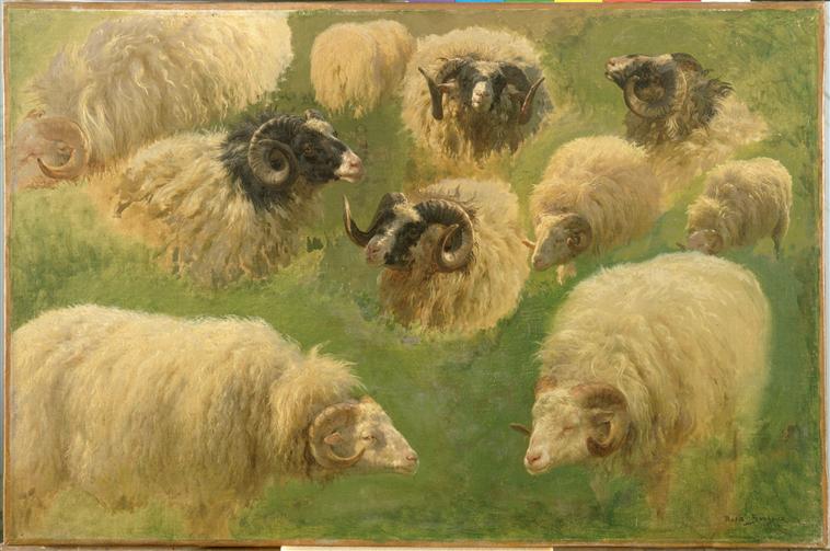 Béliers et moutons à tête noire, Rosa Bonheur, 2e quart 19e siècle, 2e moitié 19e siècle