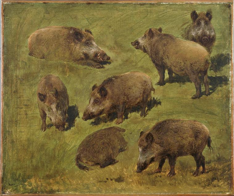 Sangliers couchés et debouts, Rosa Bonheur, 2e quart 19e siècle, 2e moitié 19e siècle