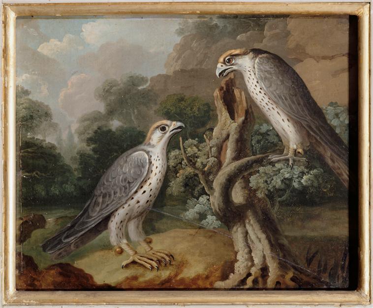 Deux faucons, Nicasius Bernaerts, 17e siècle