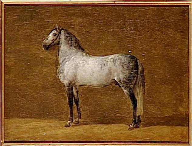Cheval de Napoléon Ier : Le Cheikh_0