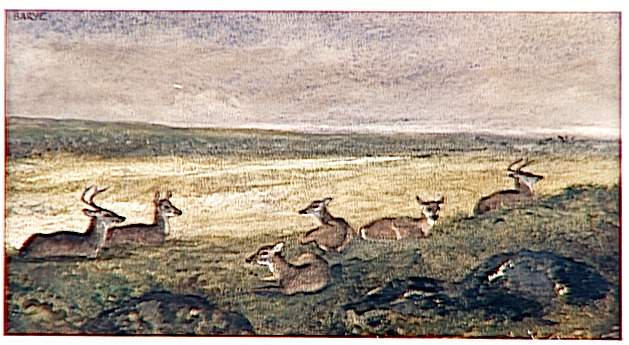 Harde de daims couchés_0