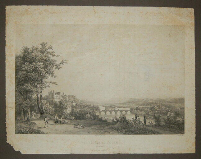 Vue générale de Pau (prise du Parc)_0
