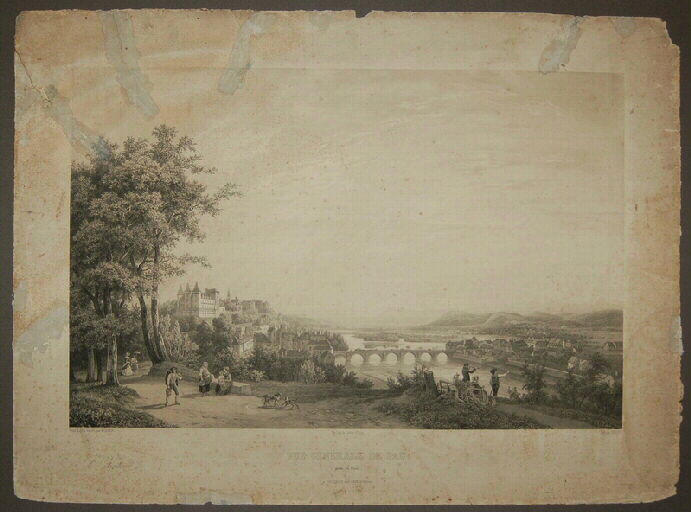 Vue générale de Pau (prise du Parc)_0